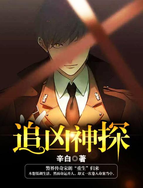 追凶神探怎么样