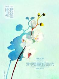 爱你是最好的时光原著免费阅读