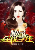 极品全能高手主角几个老婆