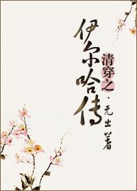 清穿伊尔迷txt