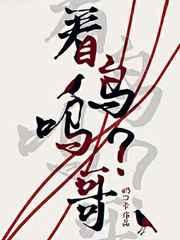 看鸟吗哥txt读远