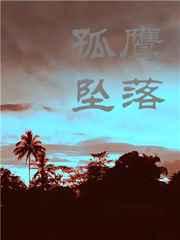 当孤鹰坠落菠萝