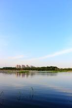 常青树2015版分析