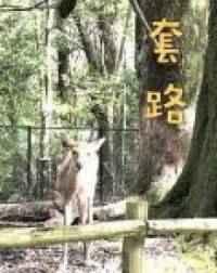 套路朋友的对话整蛊