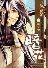 火影暗花三部曲TXT