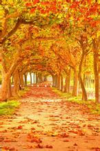 碧海诗健康科技有限公司