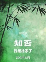 知否我是徐家子最新章节在线阅读
