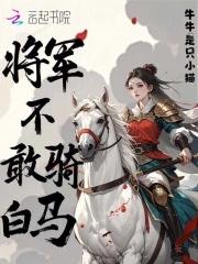 将军不下马