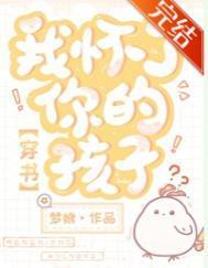 我怀了你的孩子穿书番外