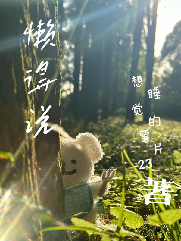 懒得说不想说的文案