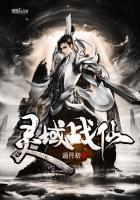 灵域战仙主要讲了啥