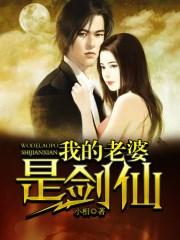 我的老婆是剑仙全文免费