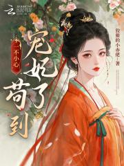 一不小心成了宠妃