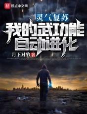 灵气复苏我的武功能自动进化