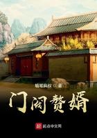 赘婿当道全文免费阅读上门女婿