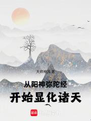 从阳神弥陀经开始显化诸天最新章节笔趣阁