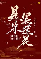重生后公主殿下是朵黑莲花完结版