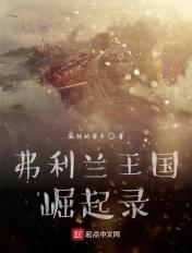 弗利兰王国崛起录起点