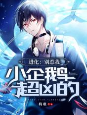 小企鹅别骂了表情包