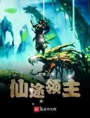 仙途领主TXT奇书网