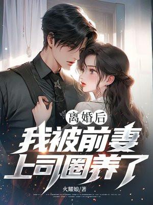 离婚后我被前夫倒追了免费