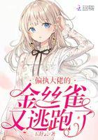 偏执大佬的金丝雀重生全文阅读