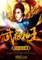 武极神王人物关系