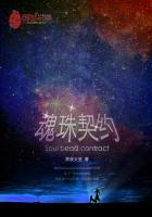 魂契用什么精灵