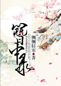 簪中录全文阅读