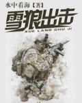 雪狼出击大结局