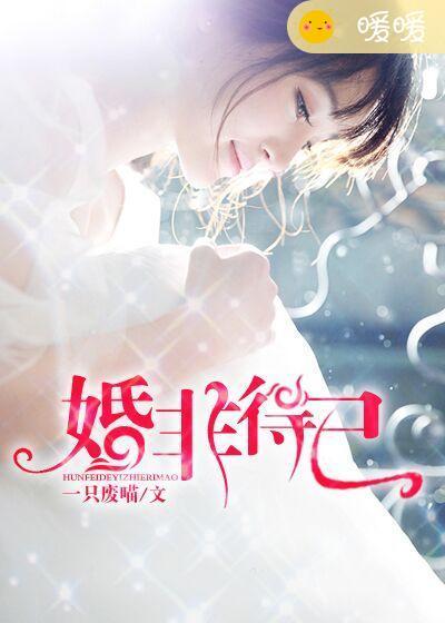 婚非得已盛先生的隐婚娇妻