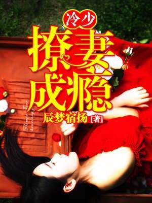 冷少追妻日常免费阅读