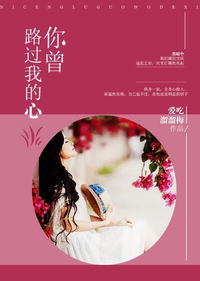 你路过我的心歌词