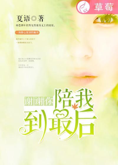 歌词里有谢谢你陪我走过的歌是什么歌