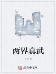 两界真武笔趣阁免费阅读