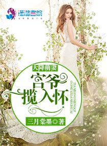 天降萌妻宫爷揽入怀