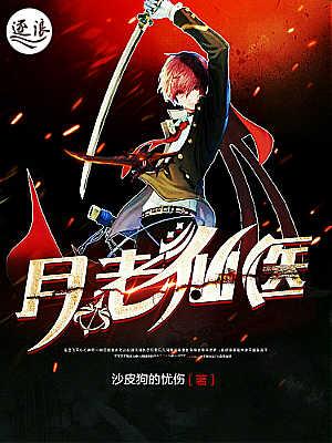 月老一共240章版本