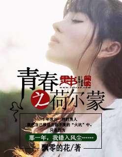 青春荷尔蒙4中文版