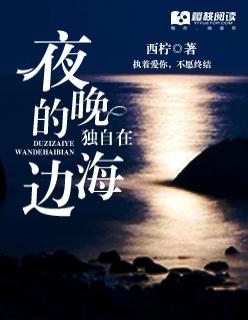 独自在夜晚的海边时间点